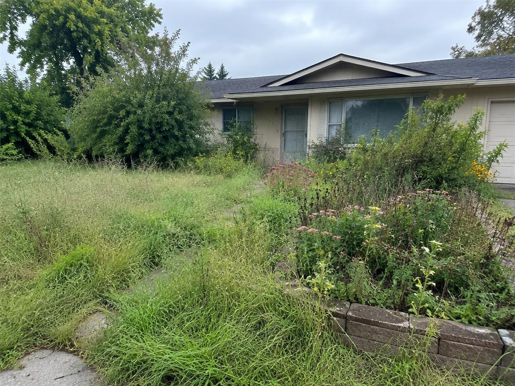 Overgrown landscaping